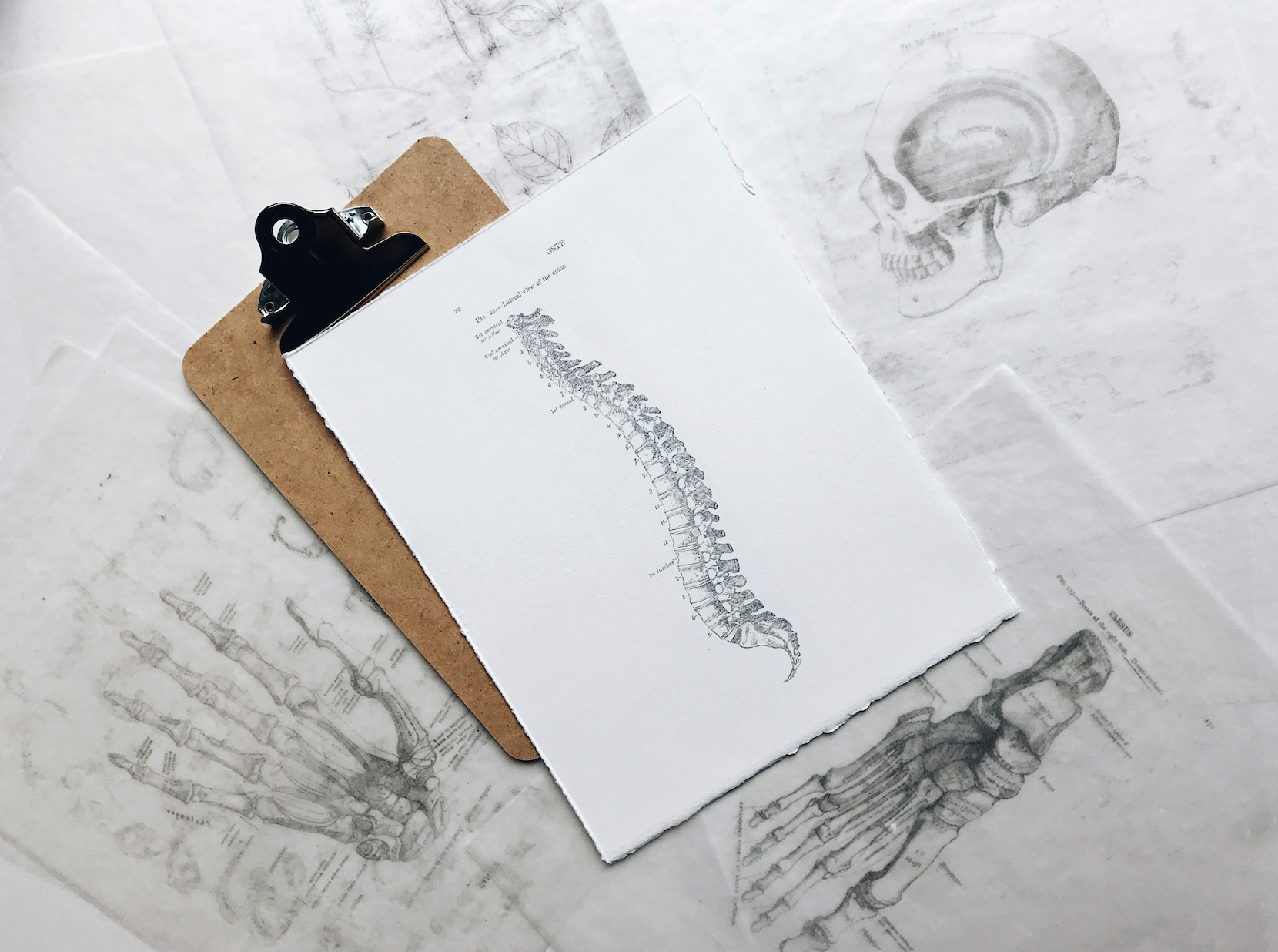 5 Signs Your Spine May Not Be Working Properly
