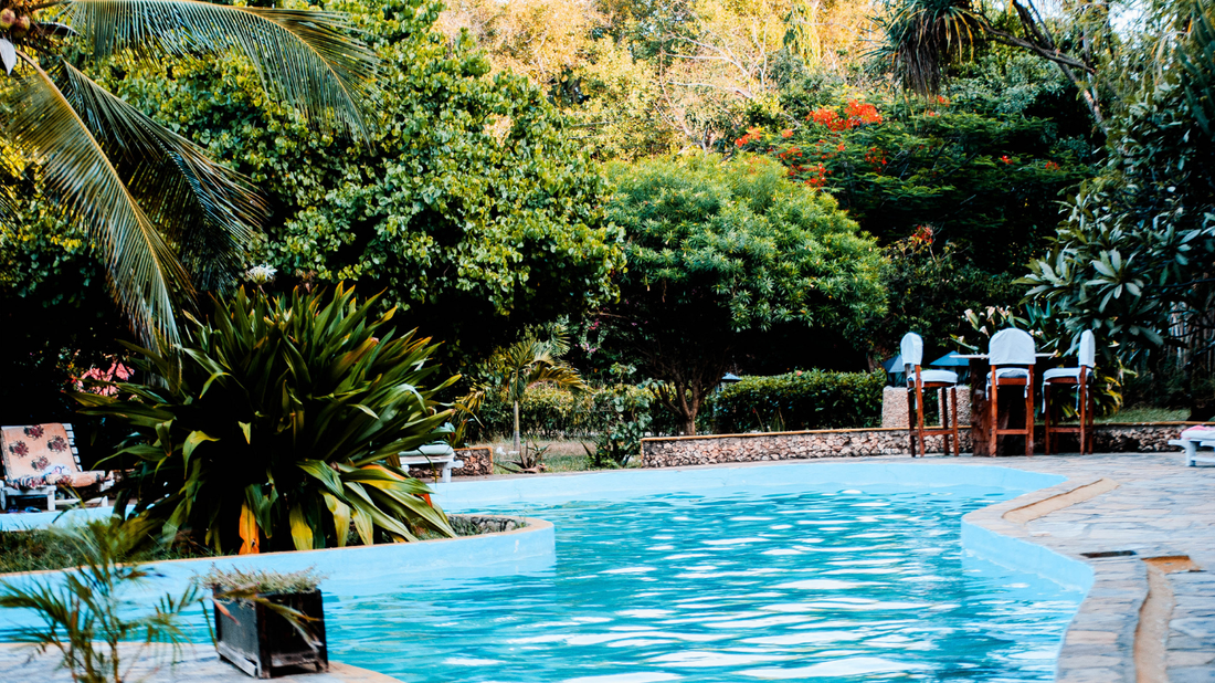 Why swimming might be exactly what your body needs this summer 🏊‍♀️☀️